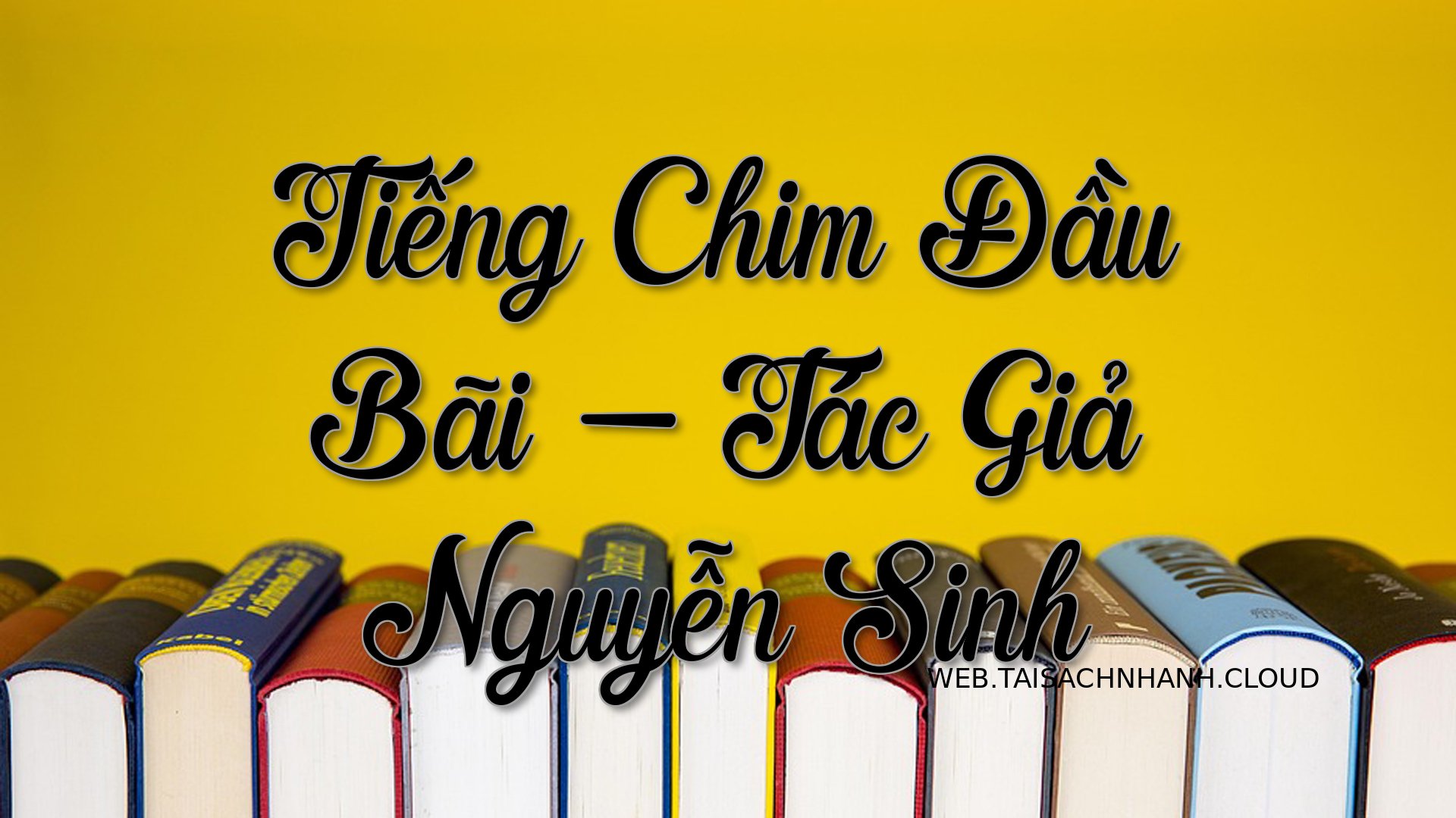 Cover Tieng Chim Dau Bai.jpg