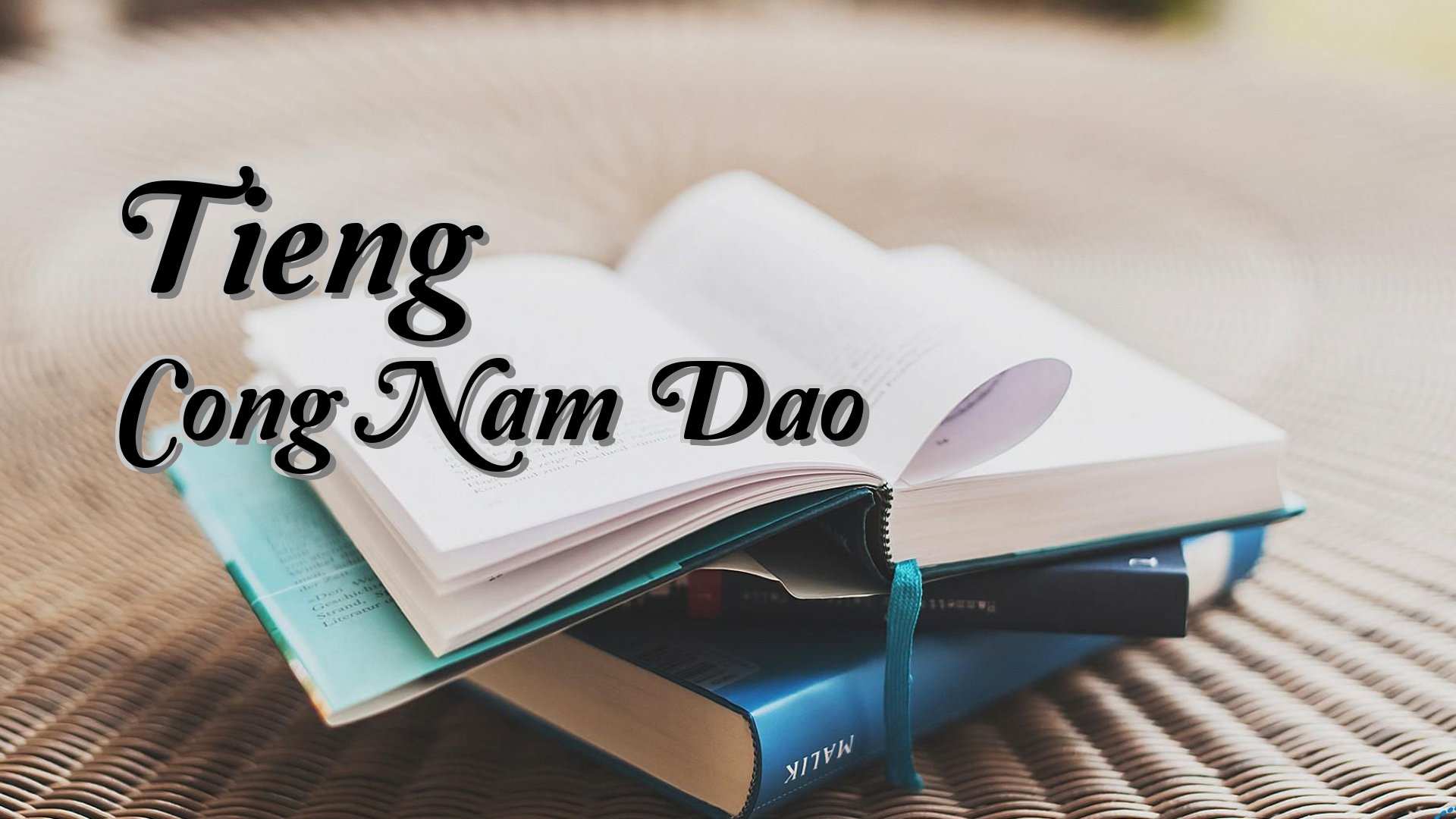 cover-Tieng Cong Nam Dao