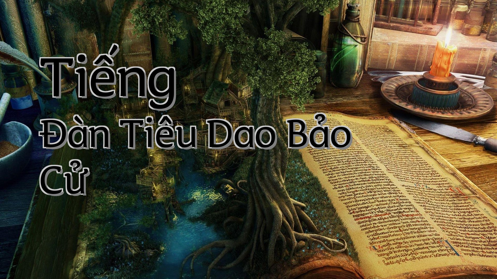 cover-Tiếng Đàn Tiêu Dao Bảo Cử
