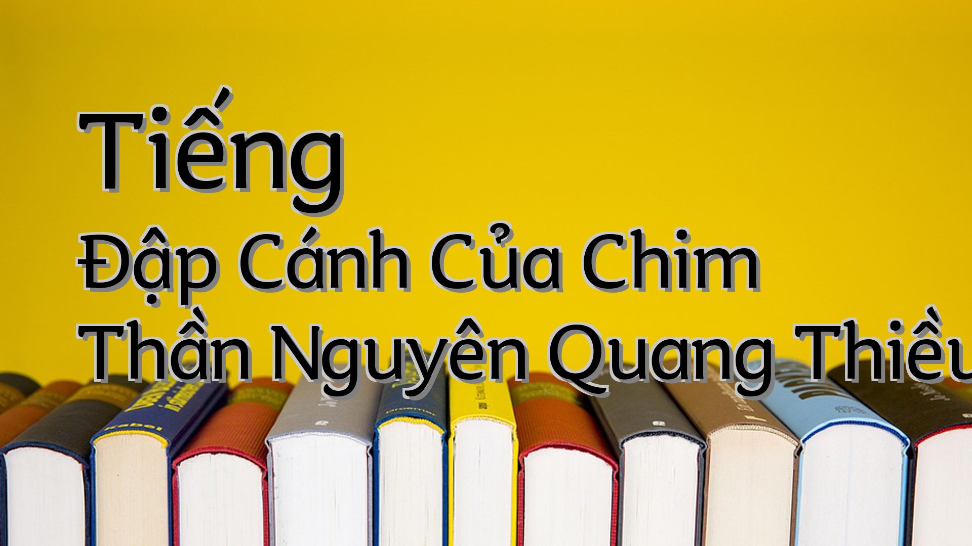 cover-Tiếng Đập Cánh Của Chim Thần Nguyên Quang Thiều