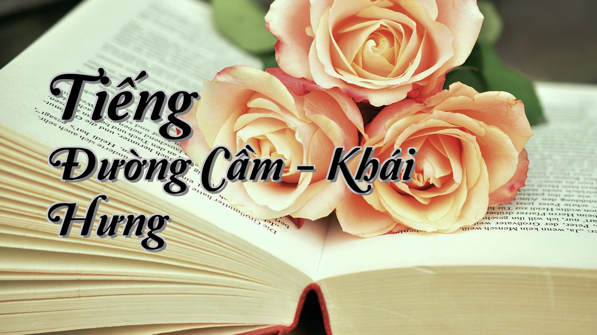 cover-Tiếng Đường Cầm - Khái Hưng
