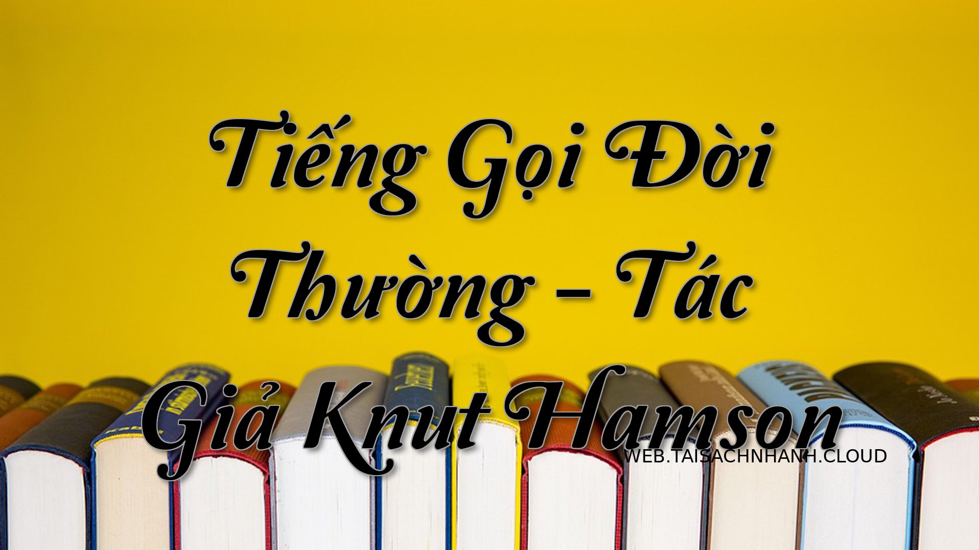 Cover Tieng Goi Doi Thuong.jpg