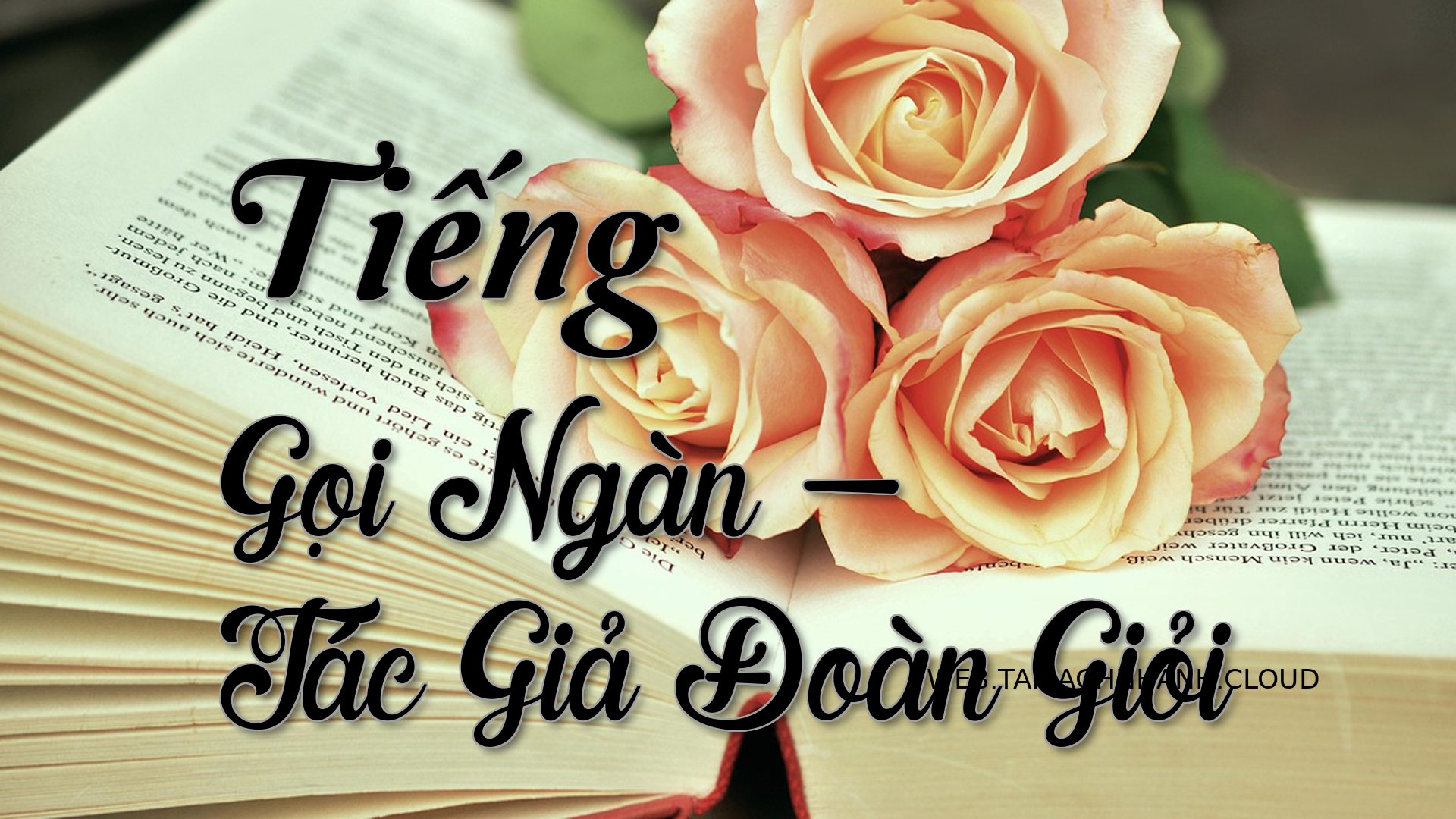 Cover Tieng Goi Ngan.jpg