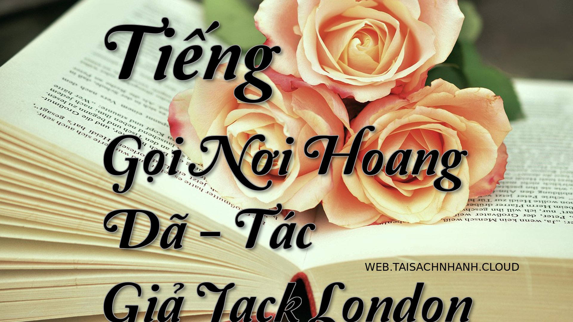 Cover Tieng Goi Noi Hoang .jpg