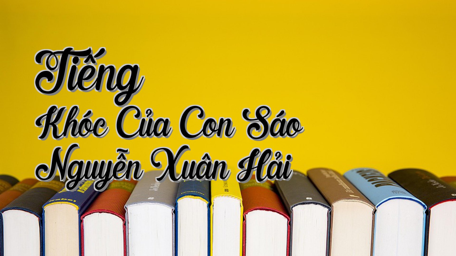 cover-Tiếng Khóc Của Con Sáo Nguyễn Xuân Hải