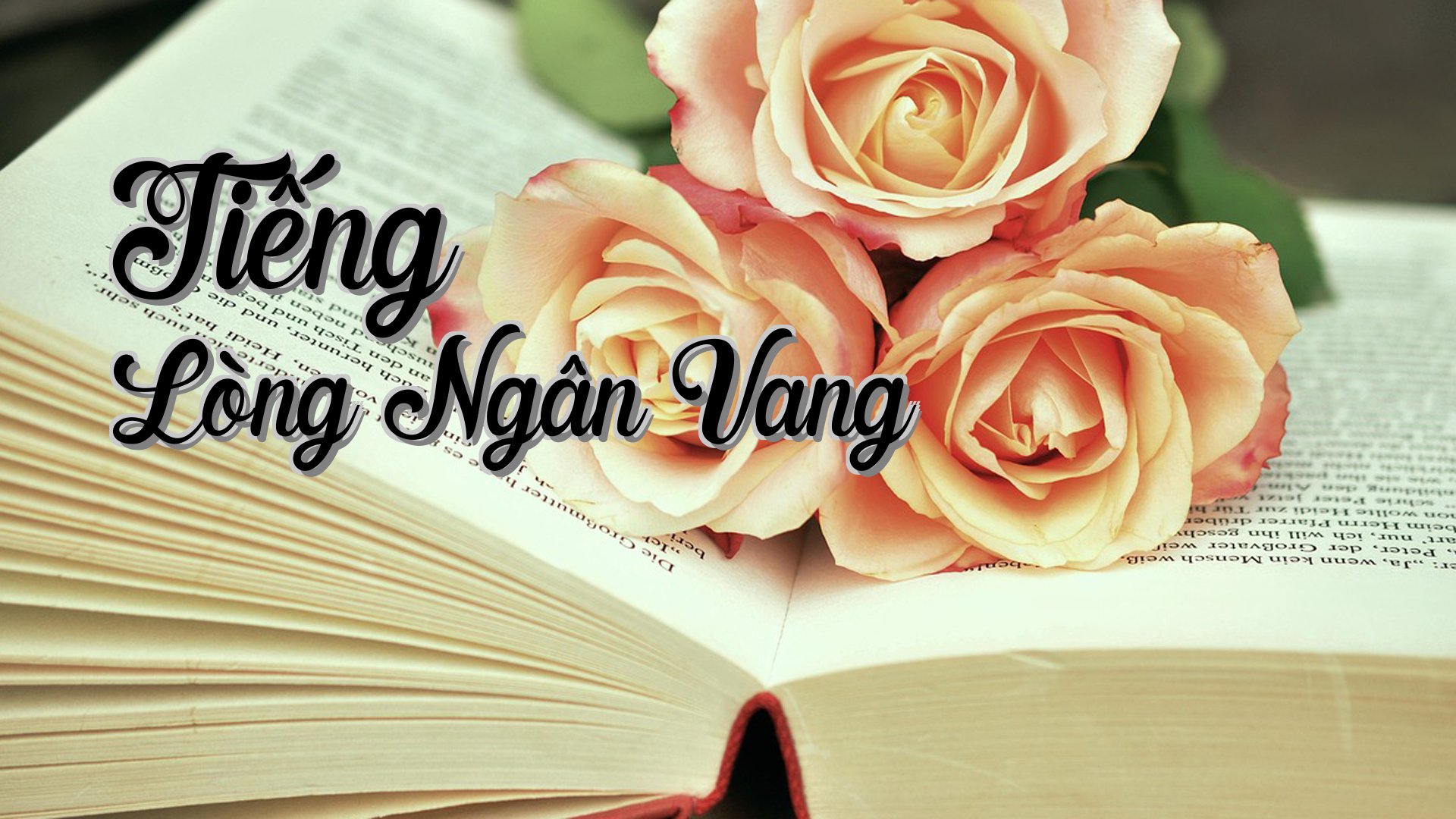 cover-Tiếng Lòng Ngân Vang