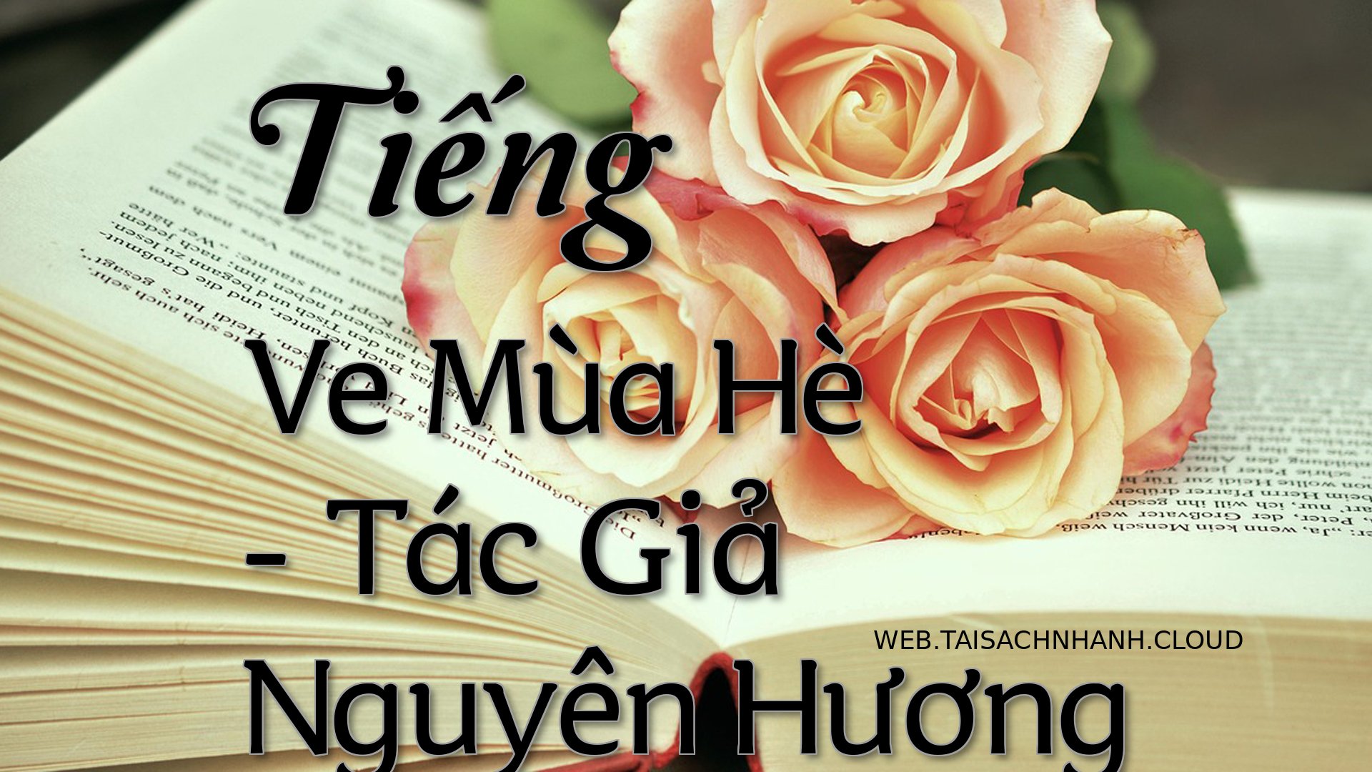 Cover Tieng Ve Mua He.jpg