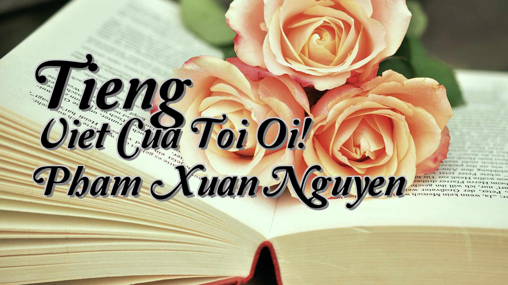 cover-Tieng Viet Cua Toi Oi! Pham Xuan Nguyen