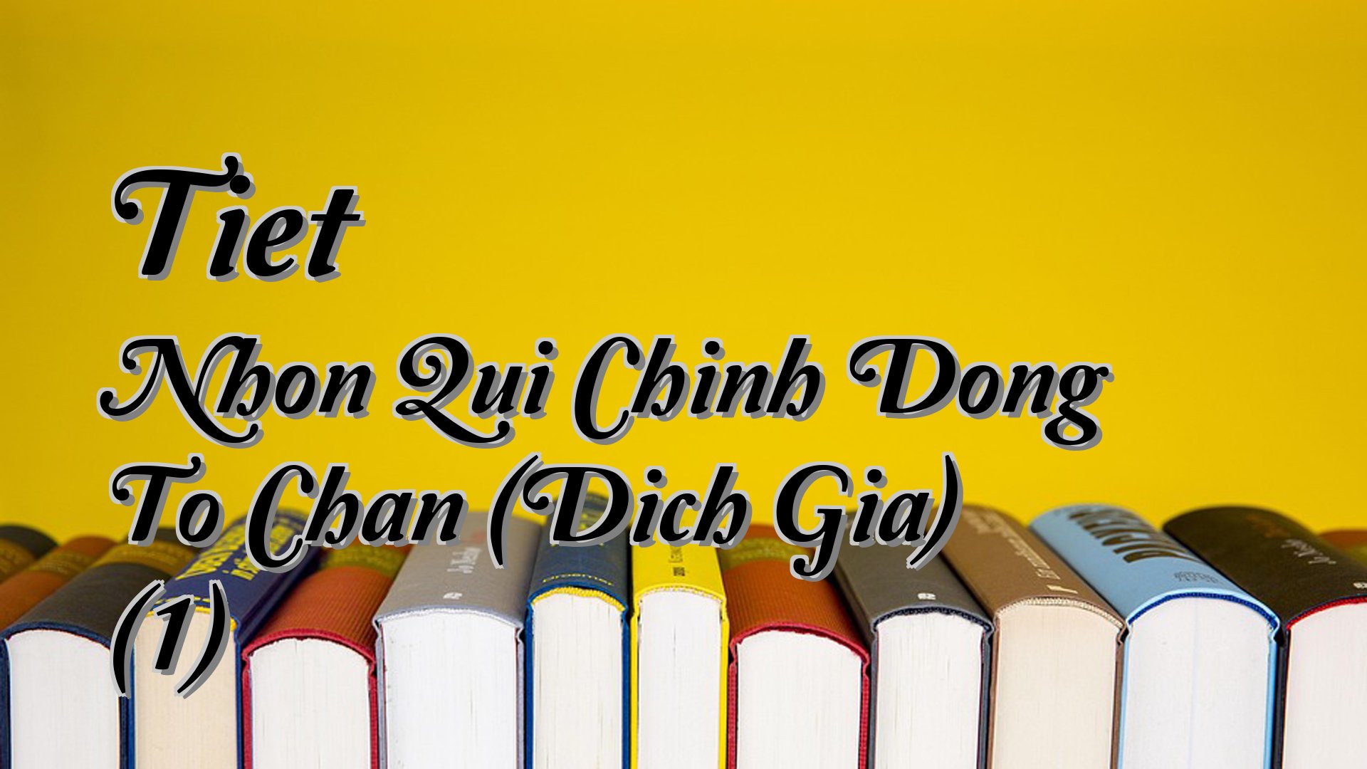 Cover image for Tiet Nhon Qui Chinh Dong To Chan (Dich Gia) (1)
