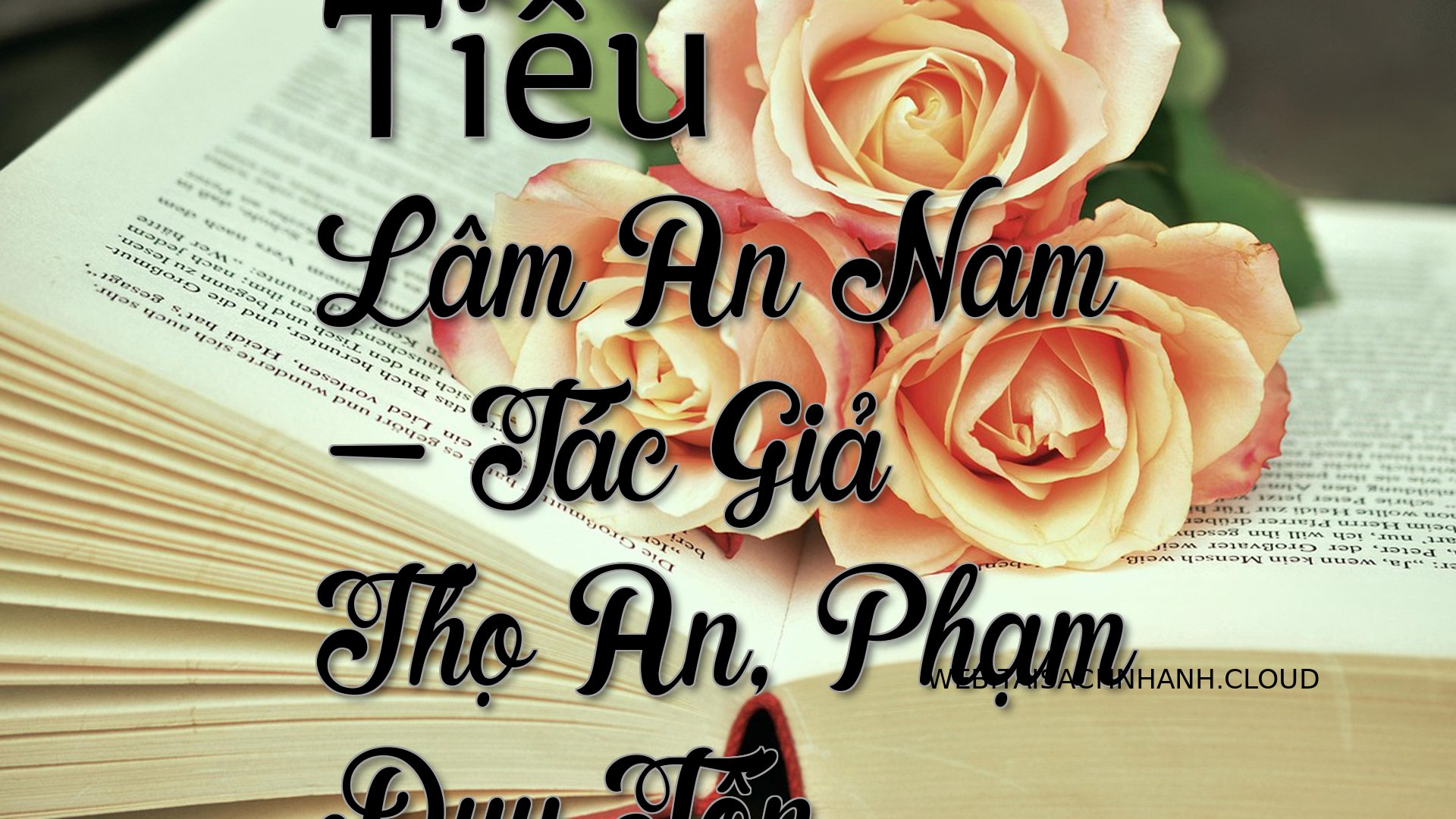 Cover Tieu Lam An Nam.jpg