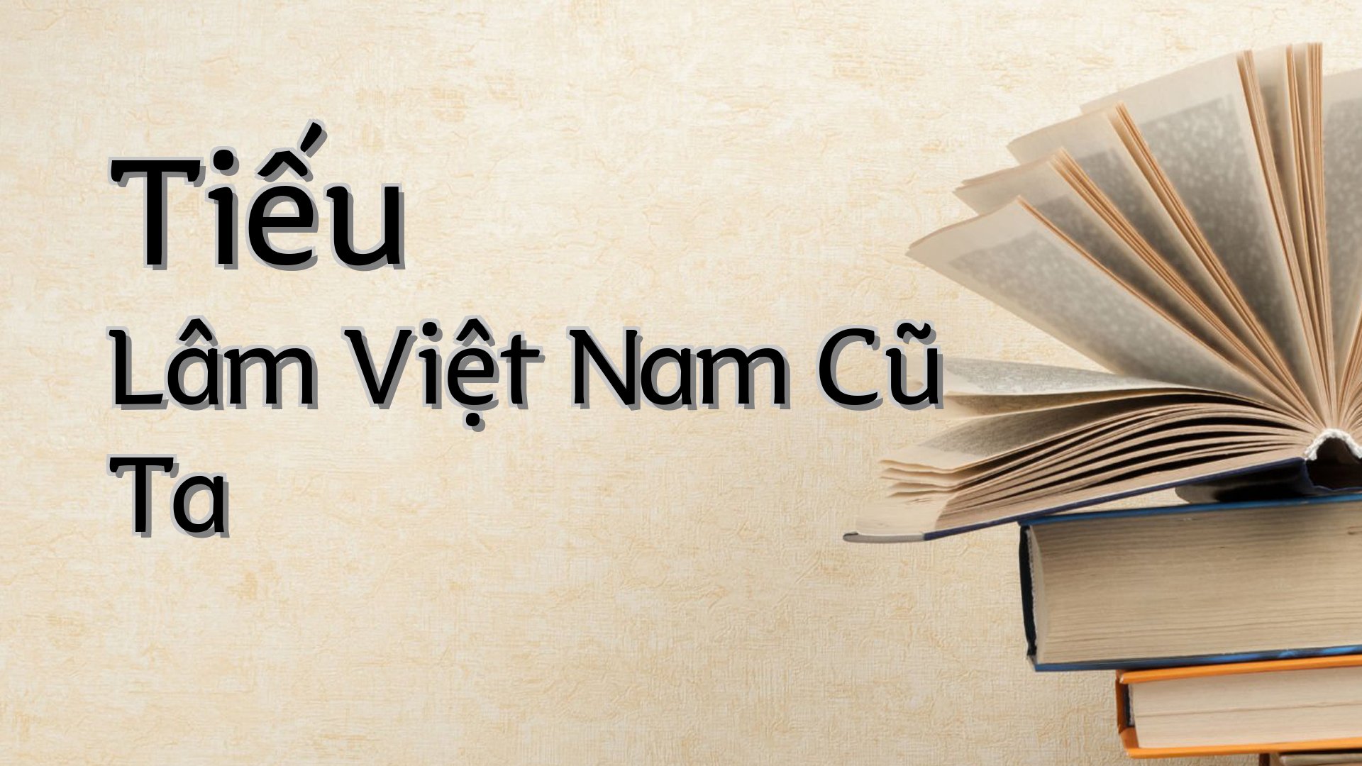 cover-Tiếu Lâm Việt Nam Cũ Ta