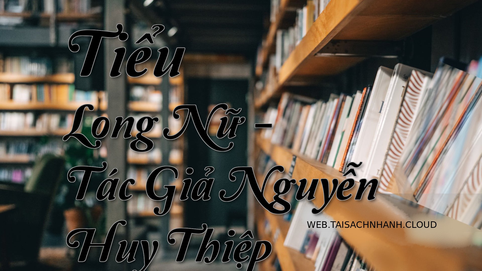 Cover Tieu Long Nu.jpg