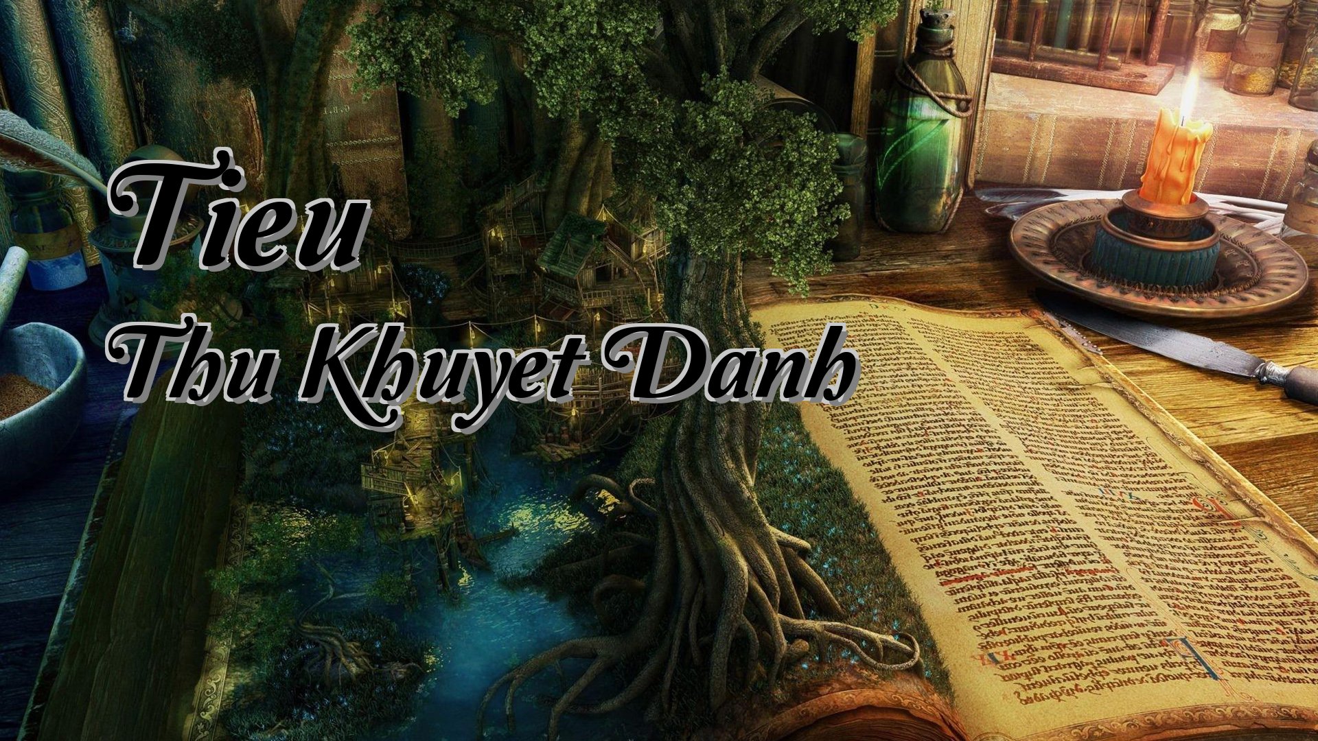 Cover image for Tieu Thu Khuyet Danh