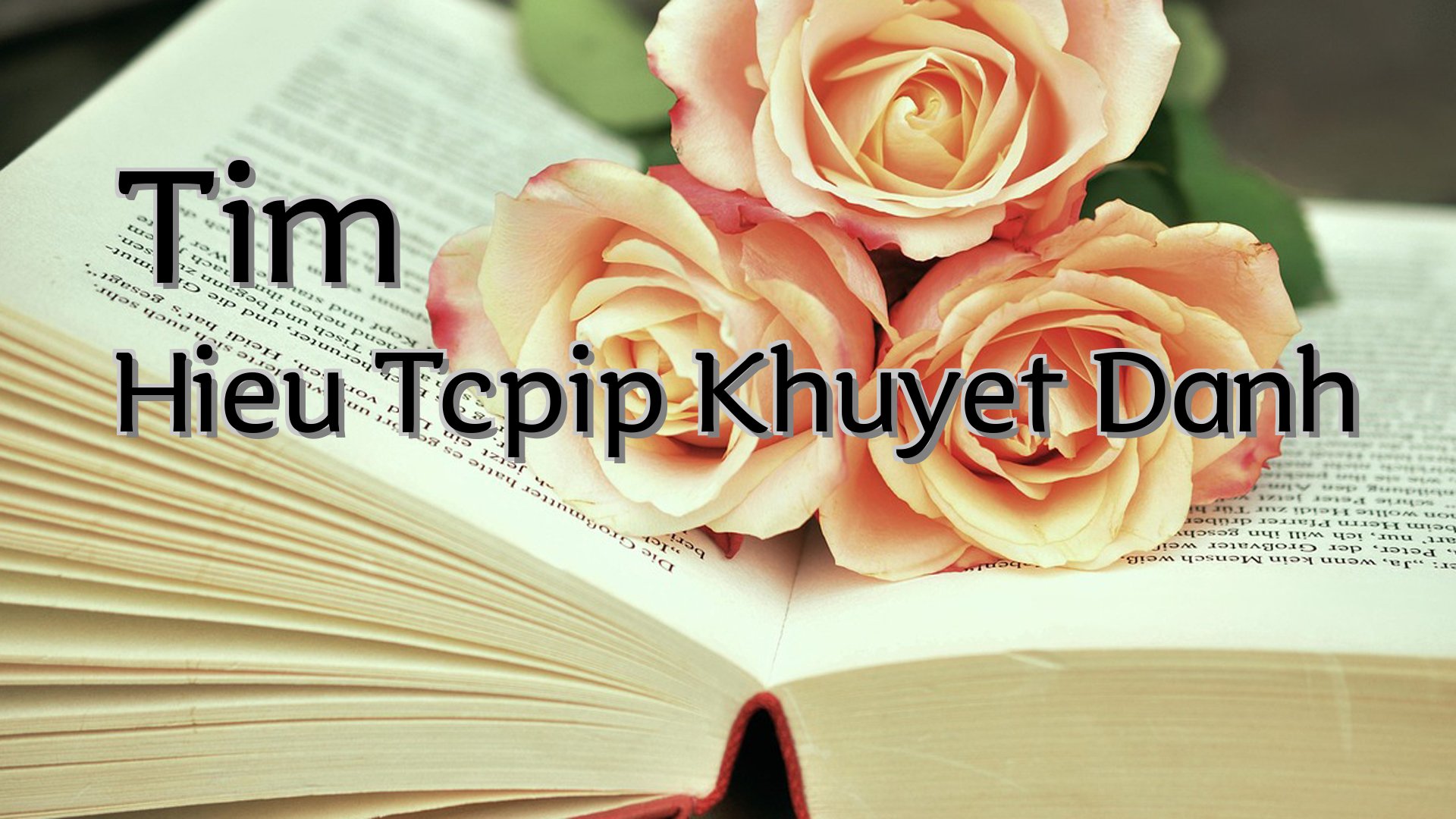 Cover image for Tim Hieu Tcpip Khuyet Danh