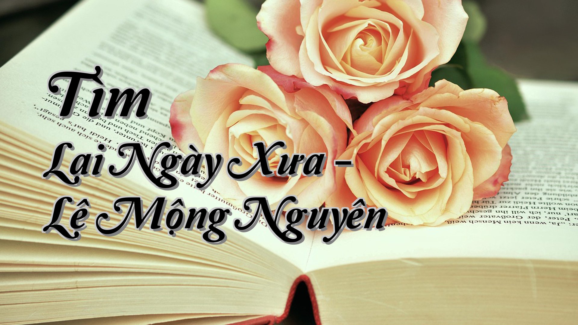 cover-Tìm Lại Ngày Xưa - Lê Mộng Nguyên