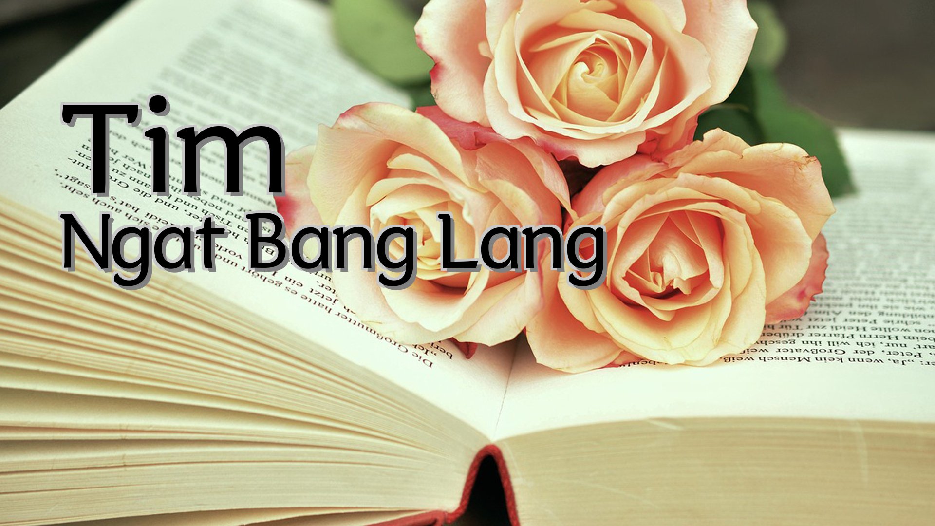 cover-Tim Ngat Bang Lang