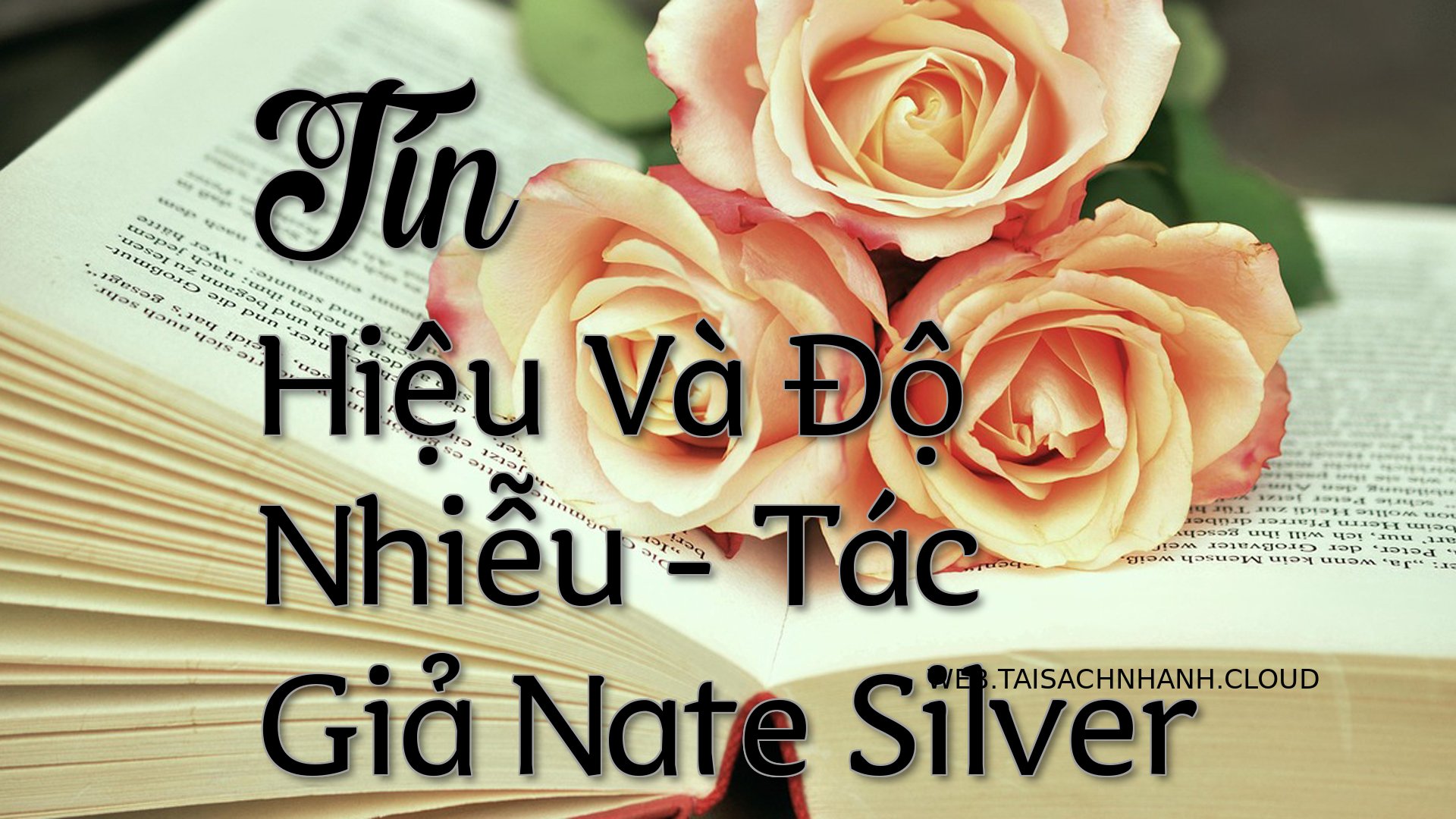 Cover Tin Hieu Va Do Nhieu.jpg