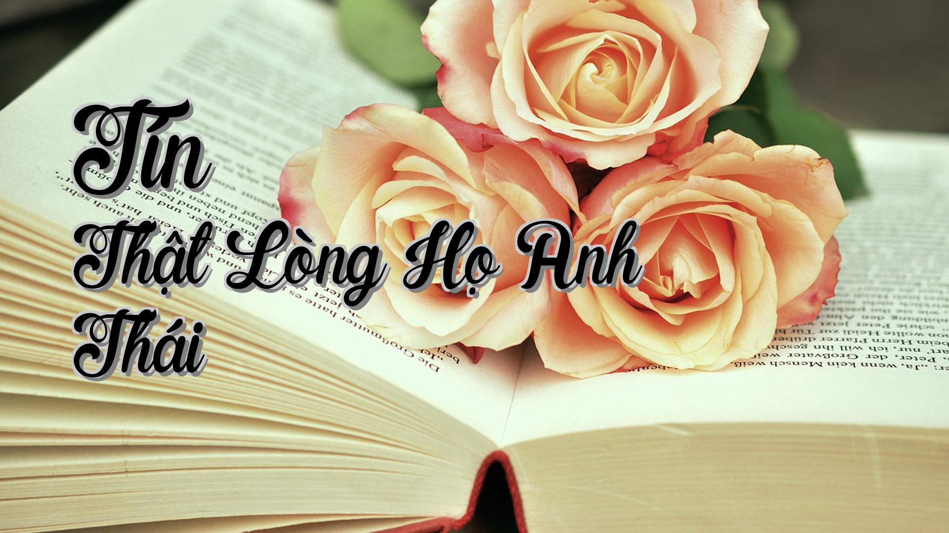 cover-Tín Thật Lòng Họ Anh Thái