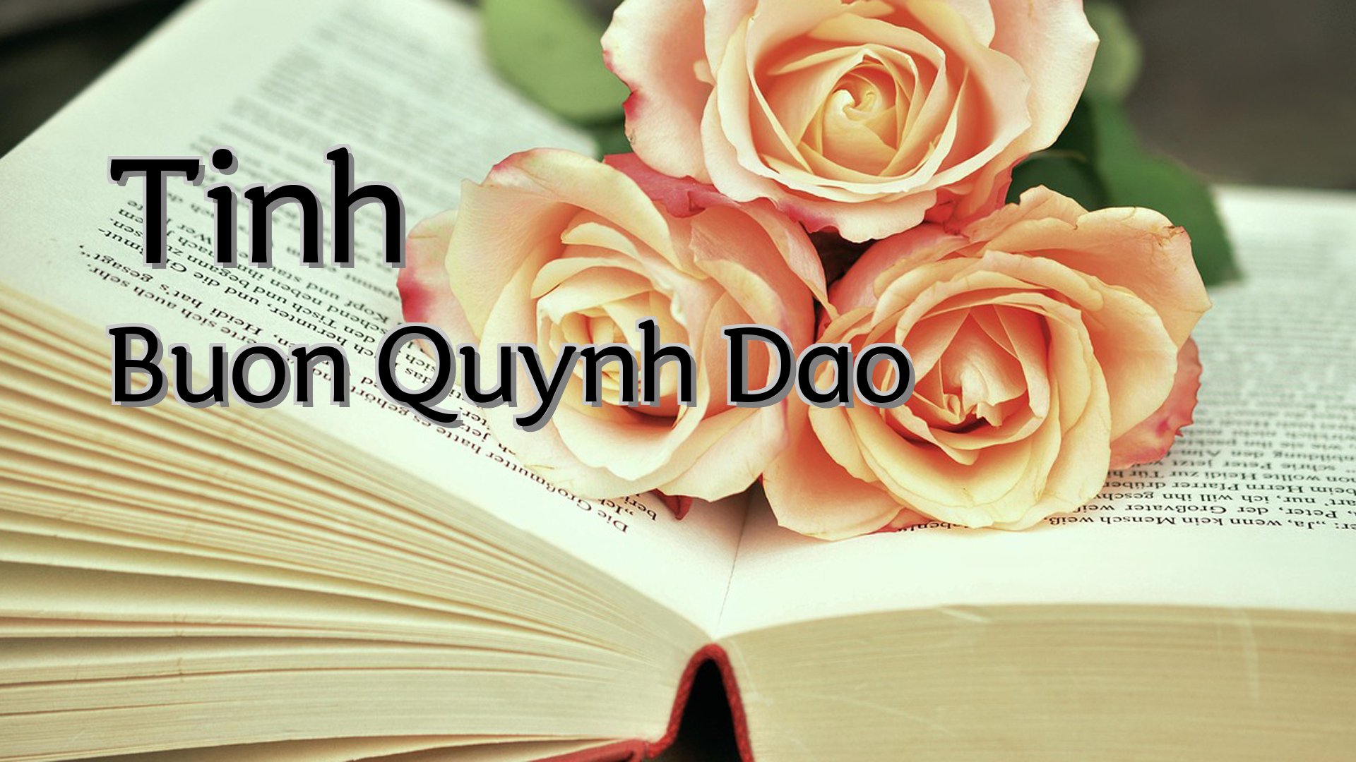 cover-Tinh Buon Quynh Dao