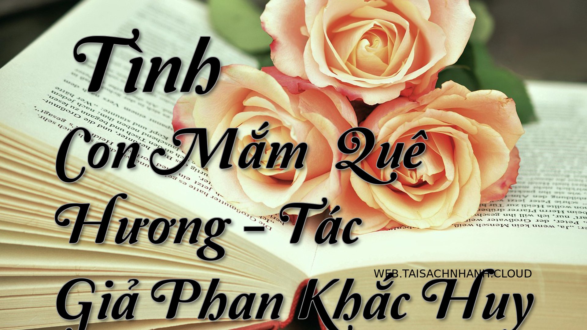Cover Tinh Con Mam Que H.jpg