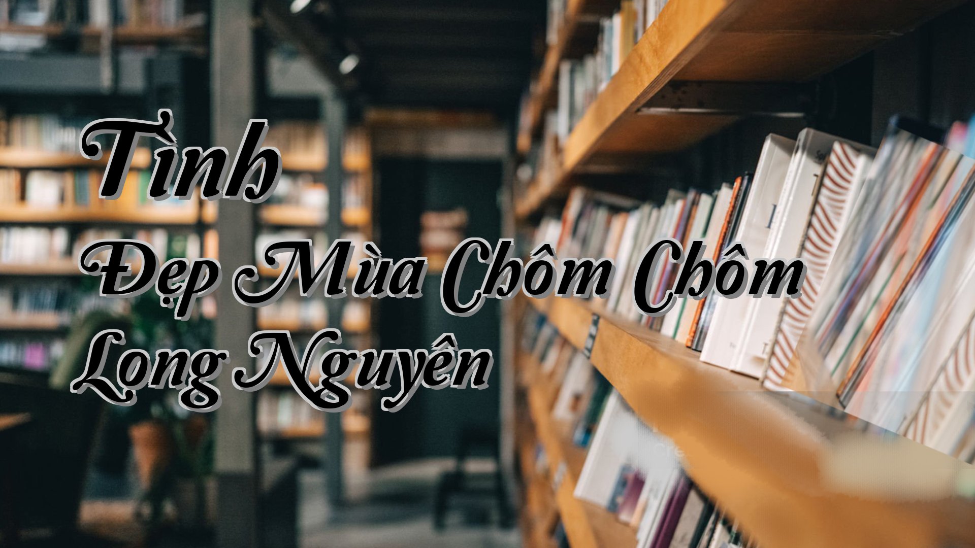 cover-Tình Đẹp Mùa Chôm Chôm Long Nguyên
