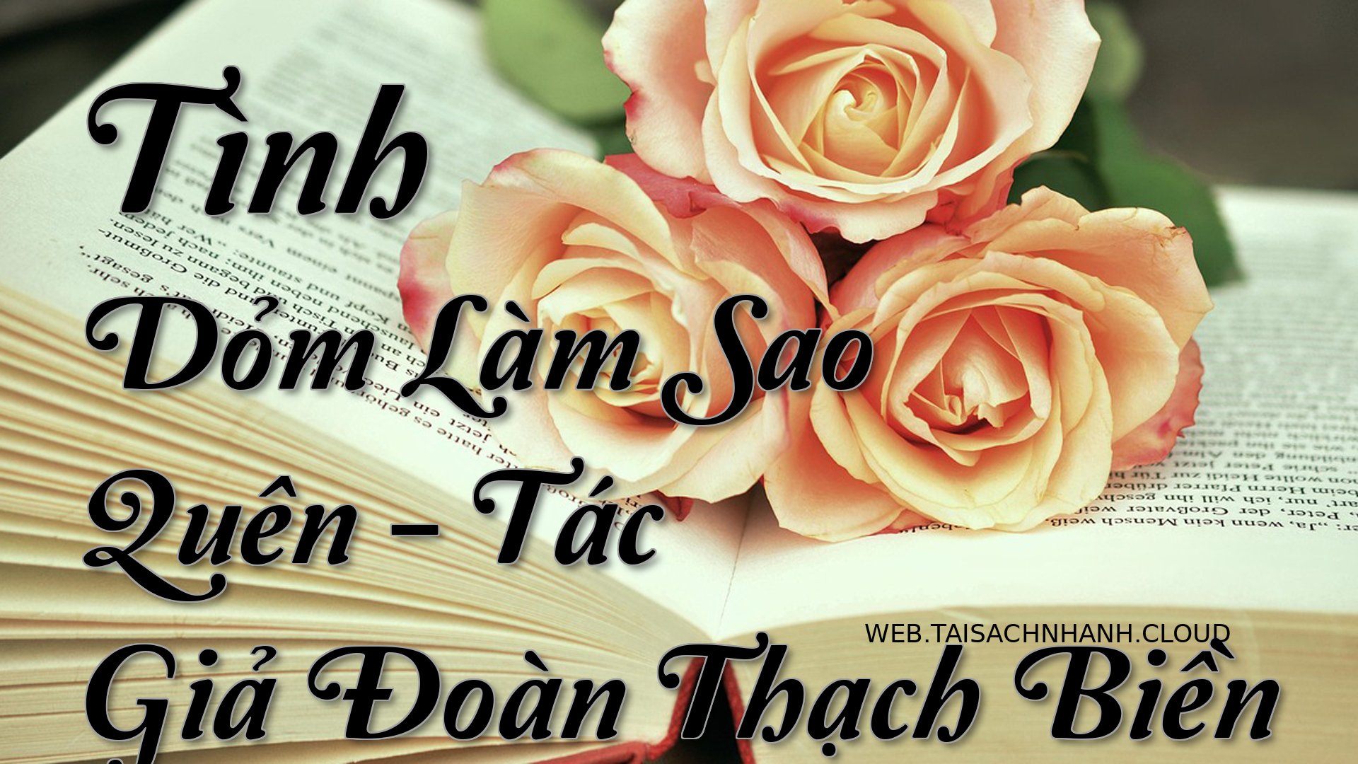 Cover Tinh Dom Lam Sao Que.jpg