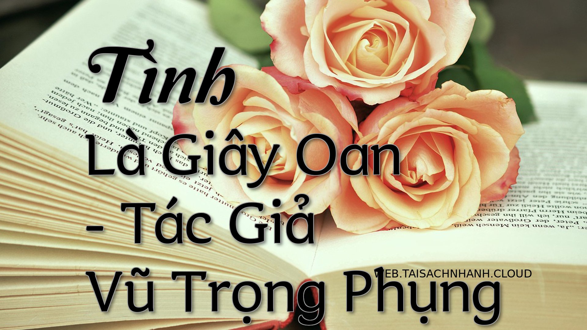 Cover Tinh La Giay Oan.jpg