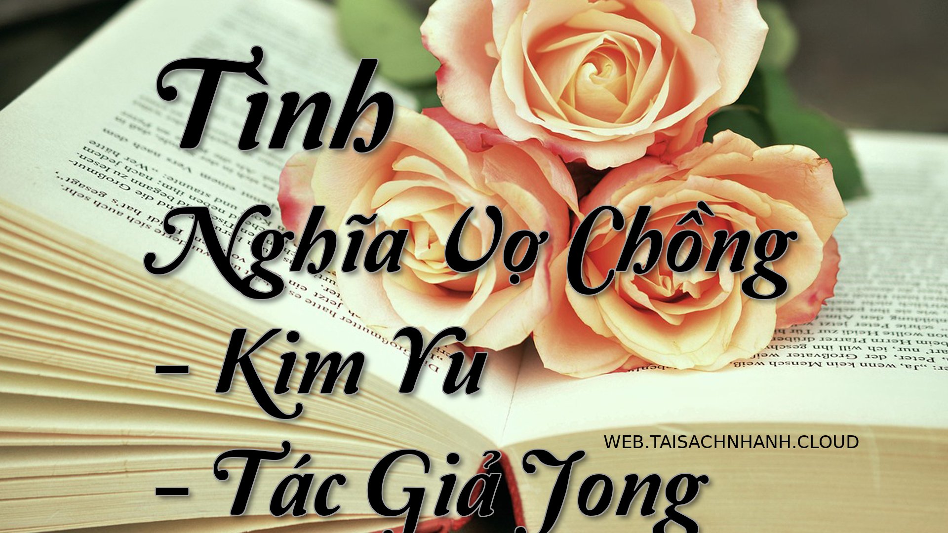 Cover Tinh Nghia Vo Chong.jpg