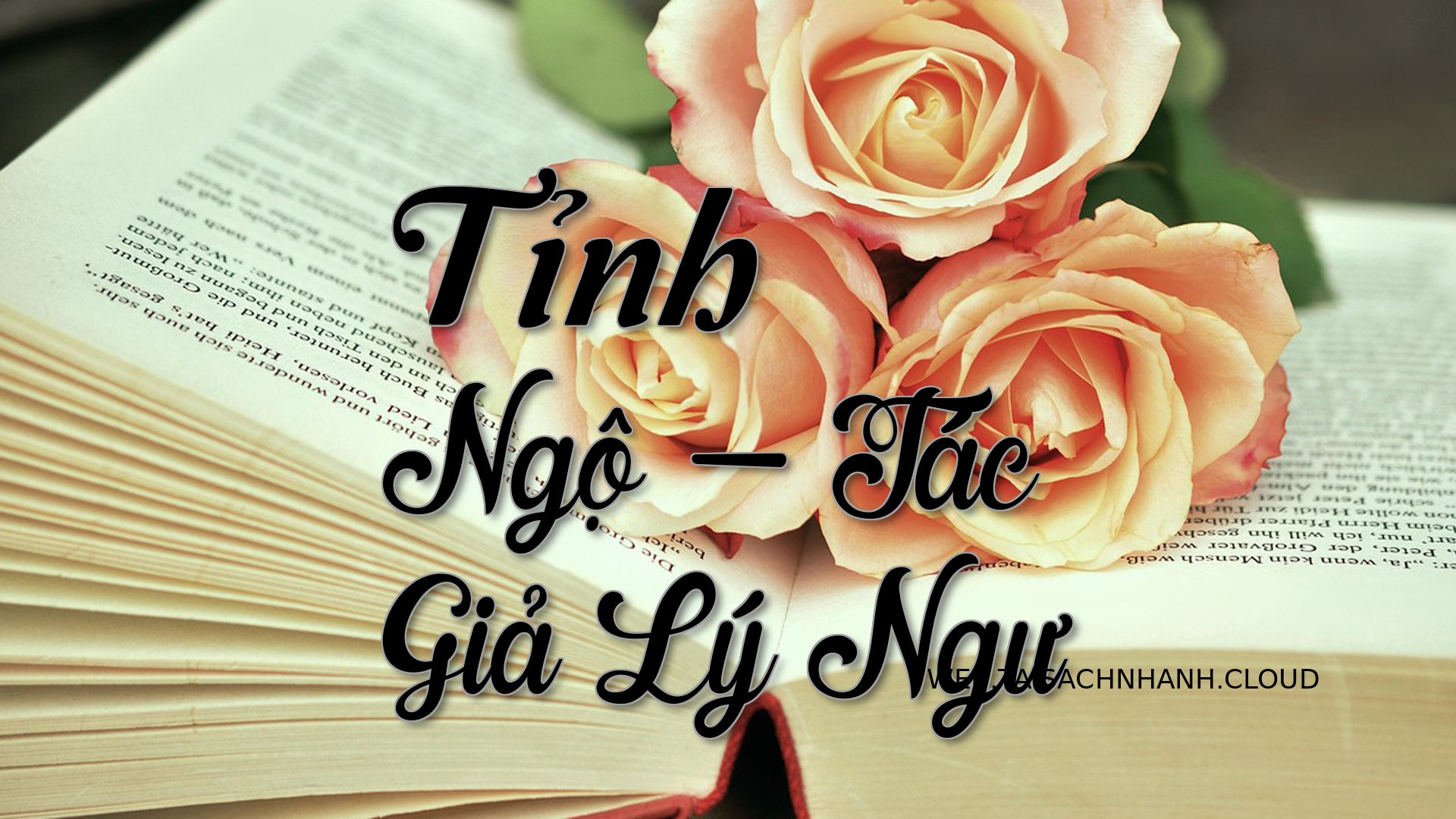Cover Tinh Ngo.jpg