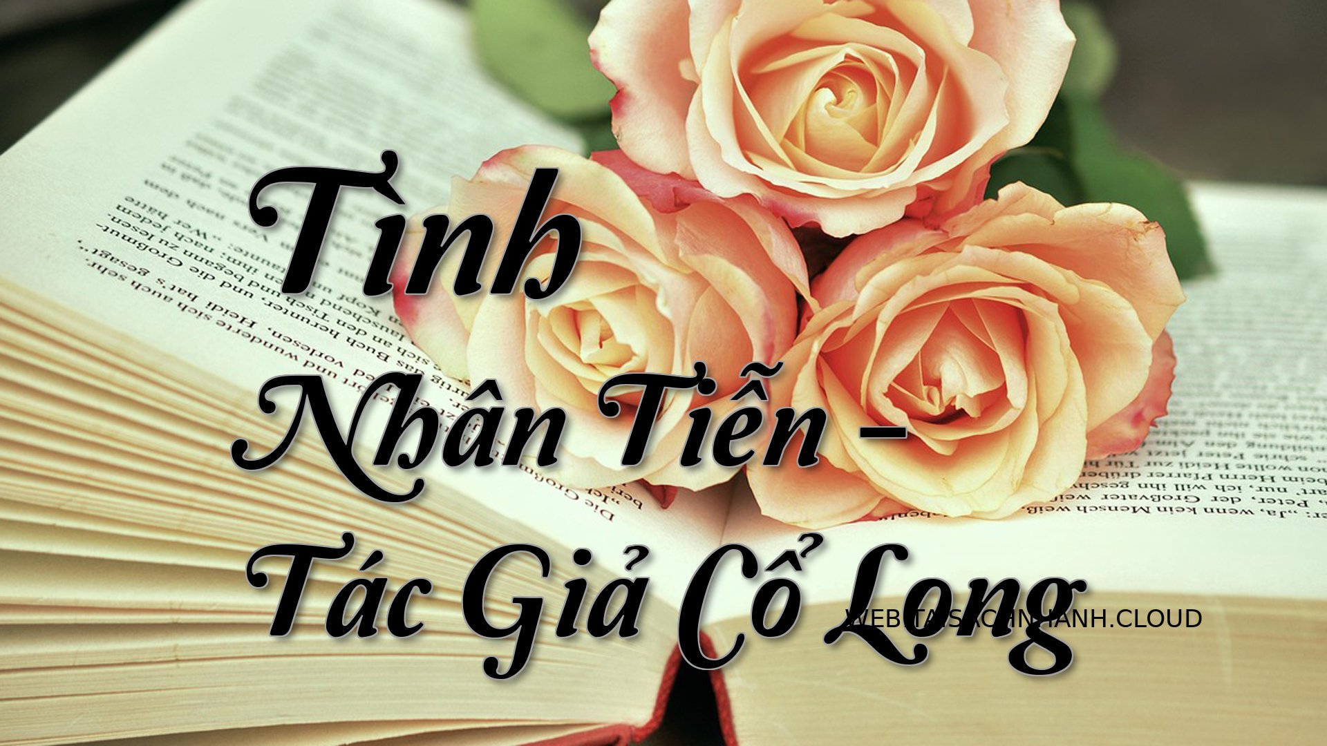 Cover Tinh Nhan Tien.jpg