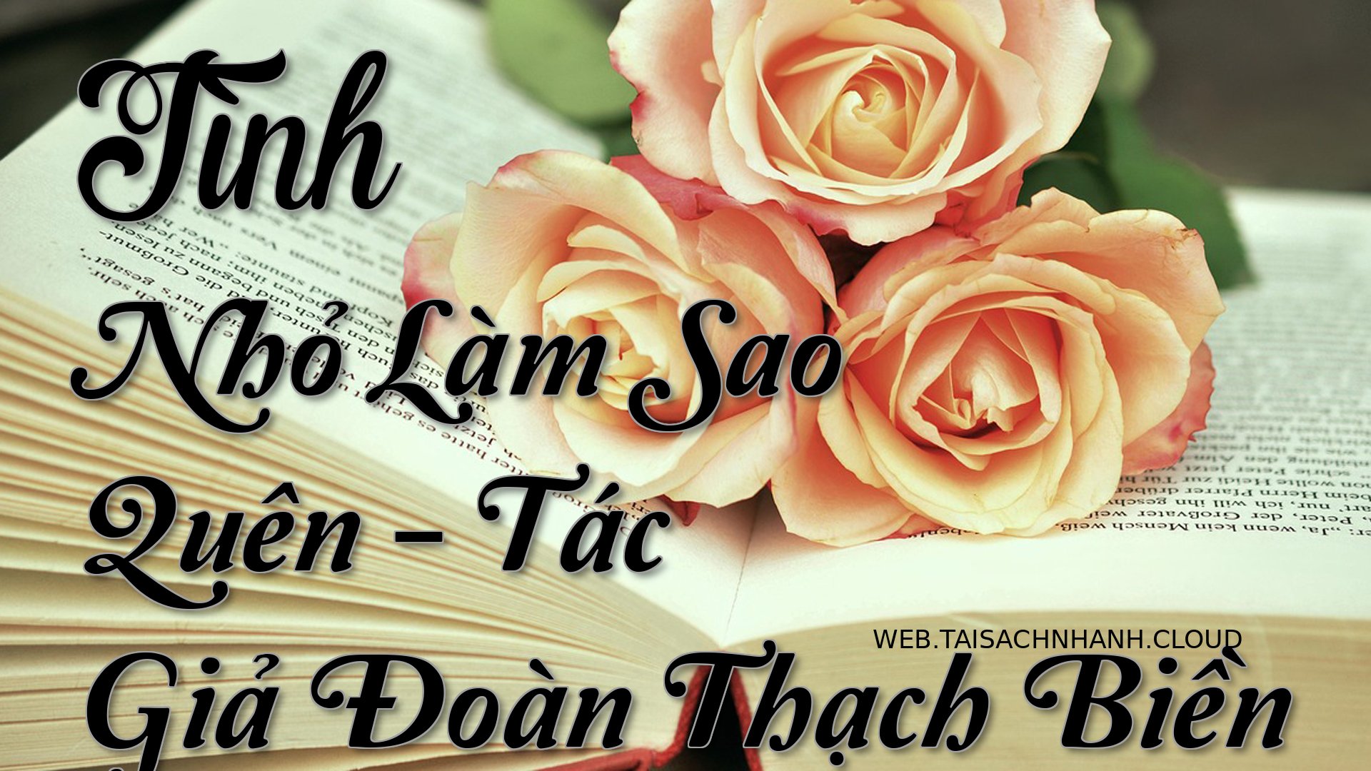 Cover Tinh Nho Lam Sao Que.jpg