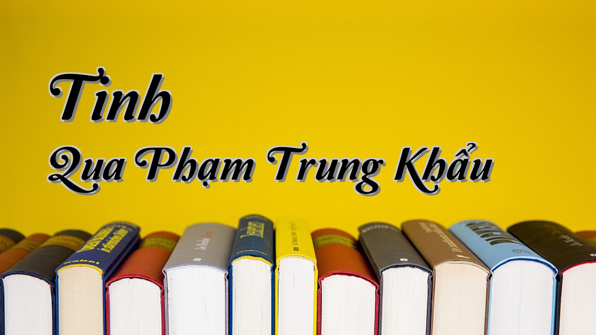 cover-Tinh Qua Phạm Trung Khẩu