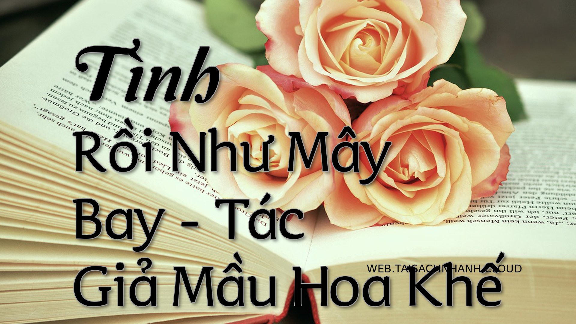 Cover Tinh Roi Nhu May Bay.jpg