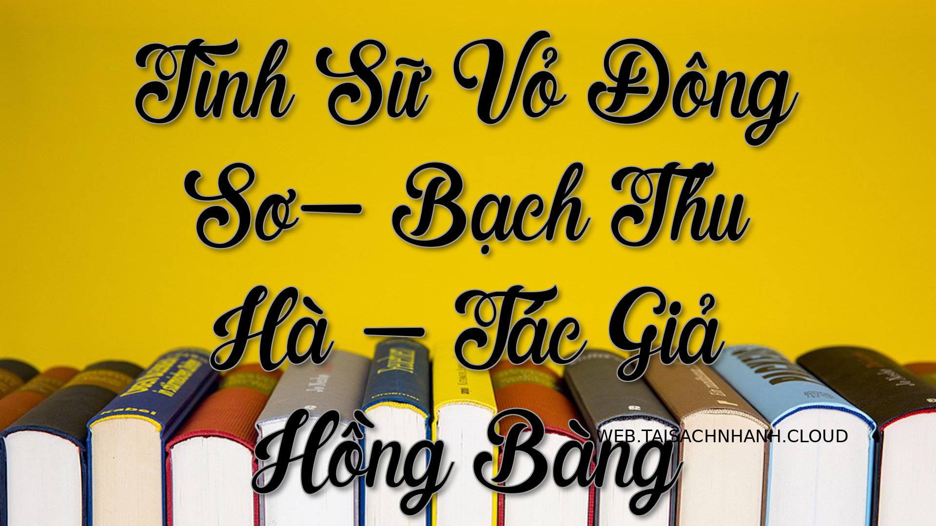 Cover Tinh Su Vo Dong So.jpg