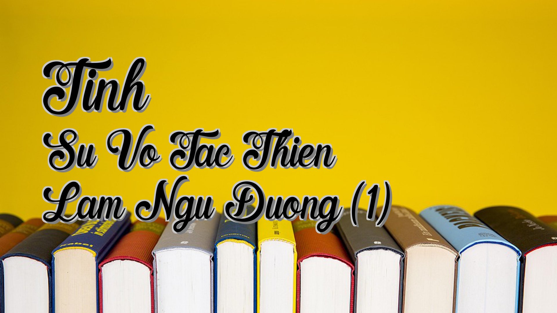 Cover image for Tinh Su Vo Tac Thien Lam Ngu Duong (1)