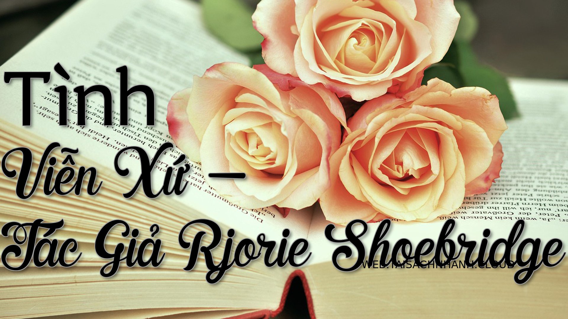 Cover Tinh Vien Xu.jpg