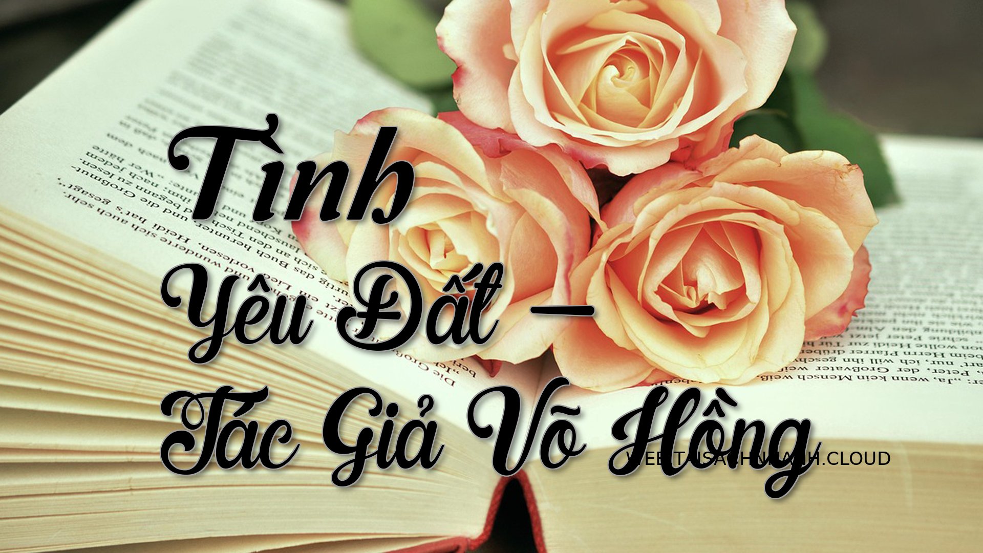 Cover Tinh Yeu Dat.jpg