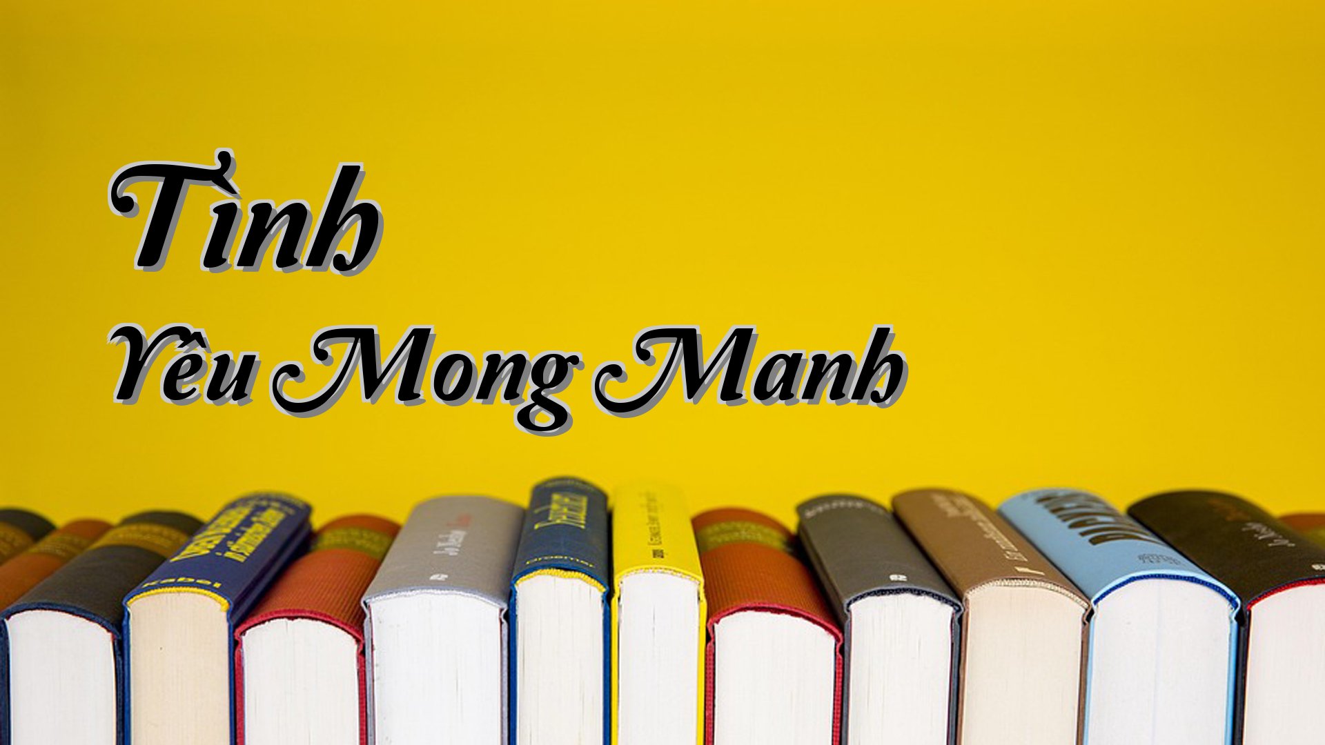 cover-Tình Yêu Mong Manh