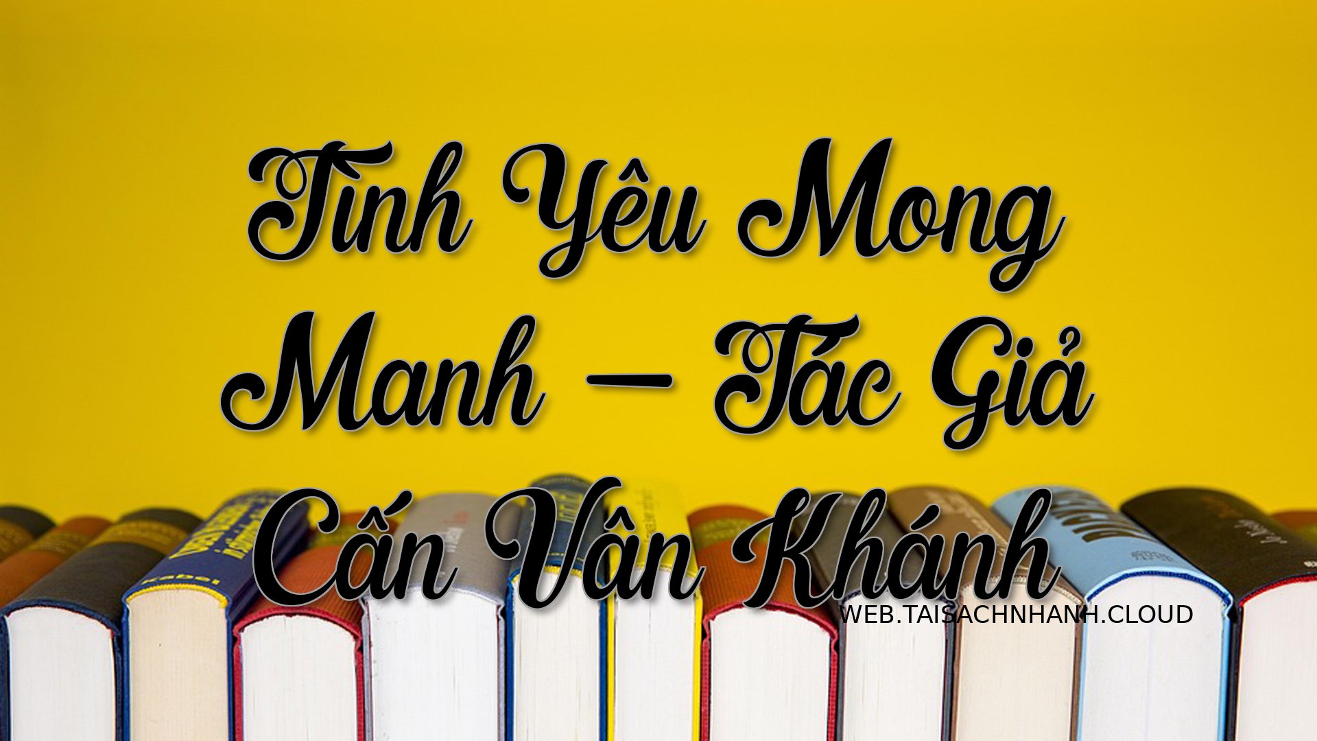 Cover Tinh Yeu Mong Manh.jpg