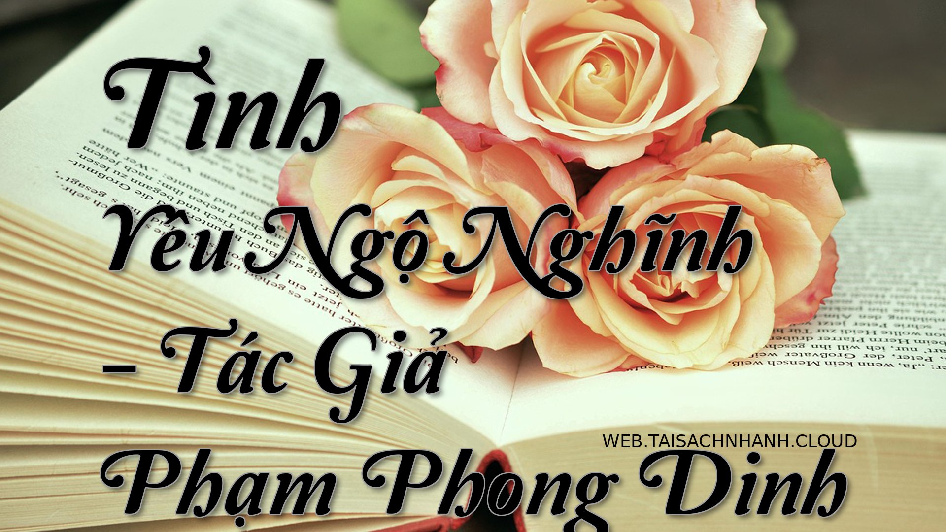 Cover Tinh Yeu Ngo Nghinh.jpg