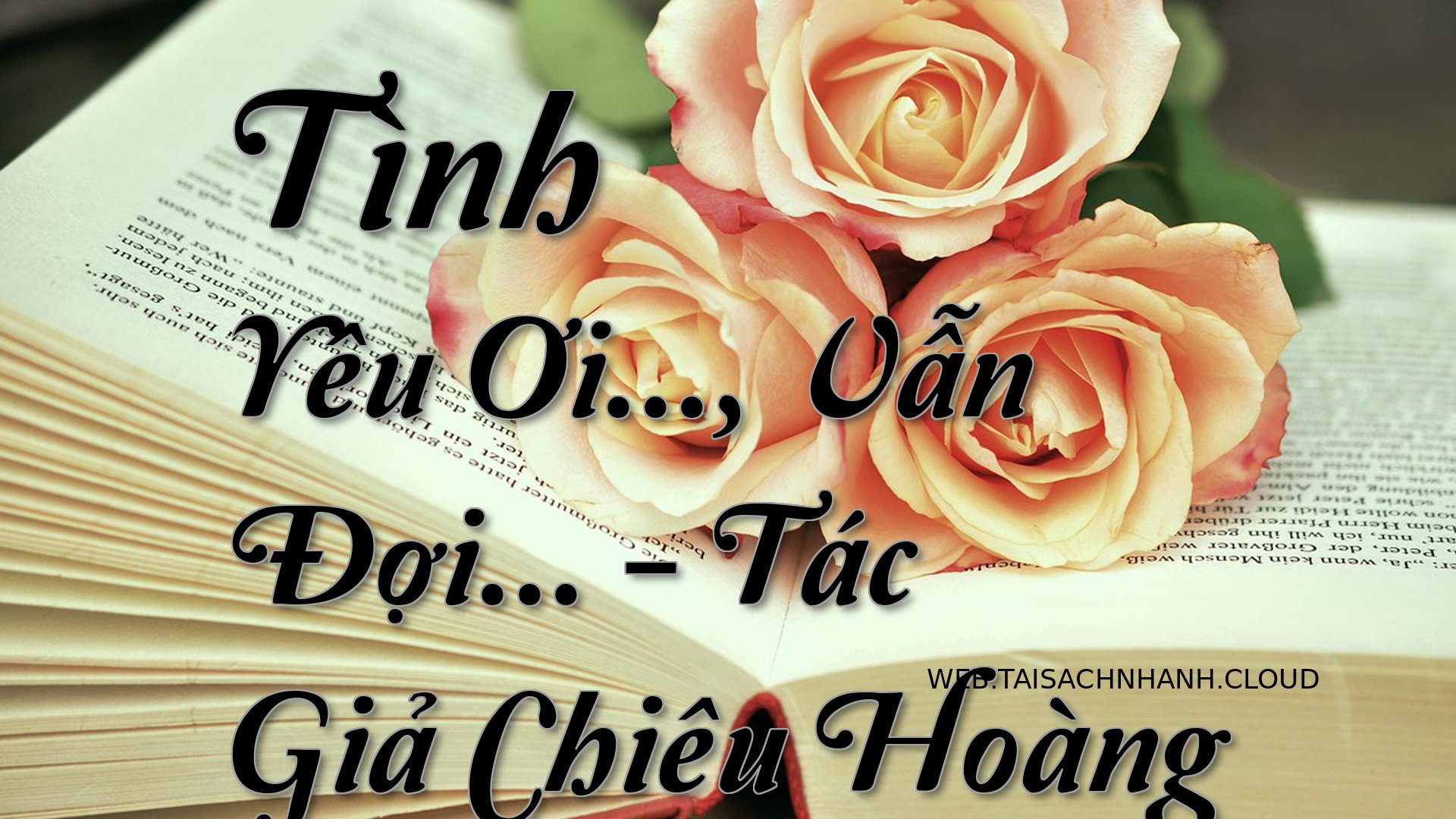 Cover Tinh Yeu Oi. Van.jpg