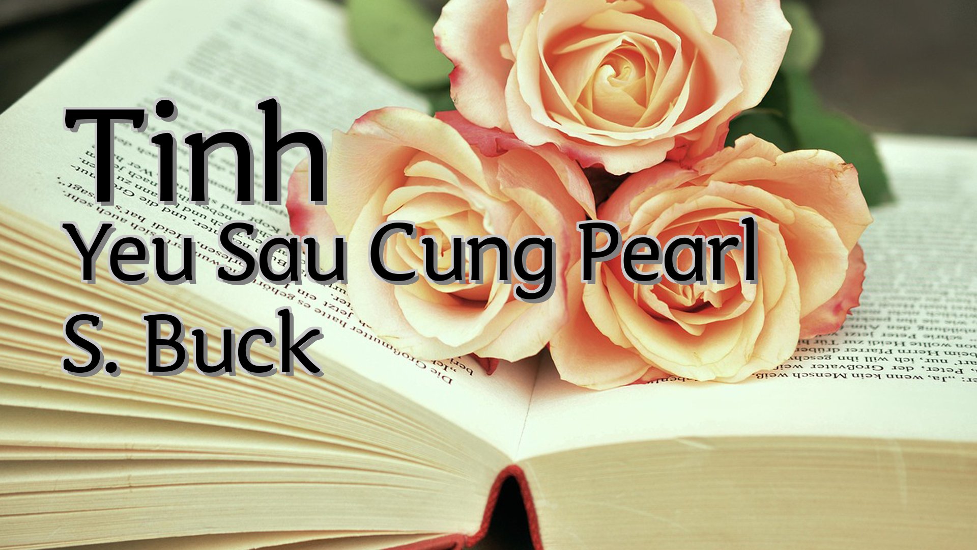 cover-Tinh Yeu Sau Cung Pearl S. Buck