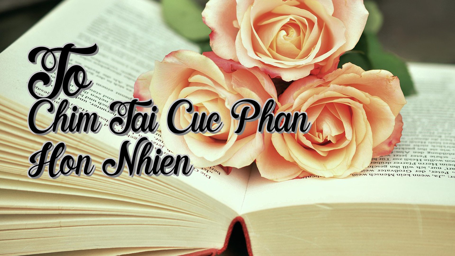 cover-To Chim Tai Cuc Phan Hon Nhien