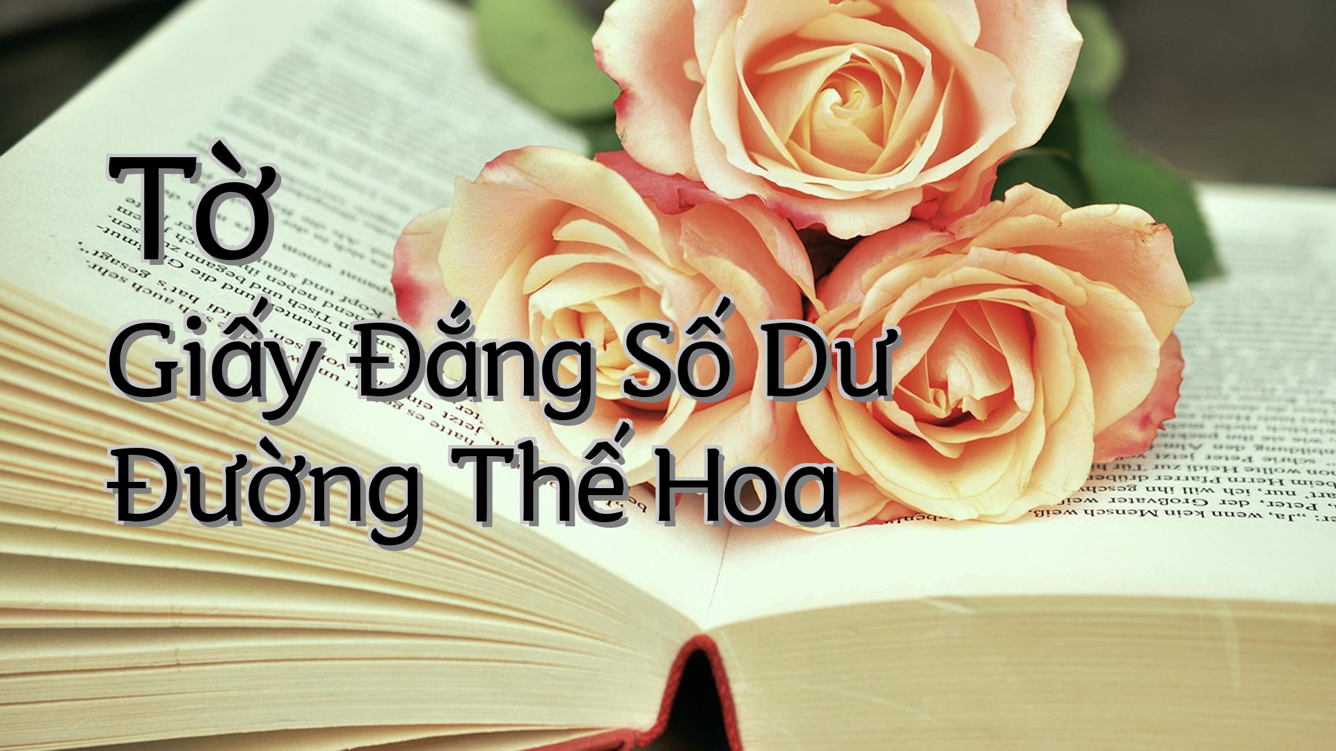 cover-Tờ Giấy Đắng Số Dư Đường Thế Hoa