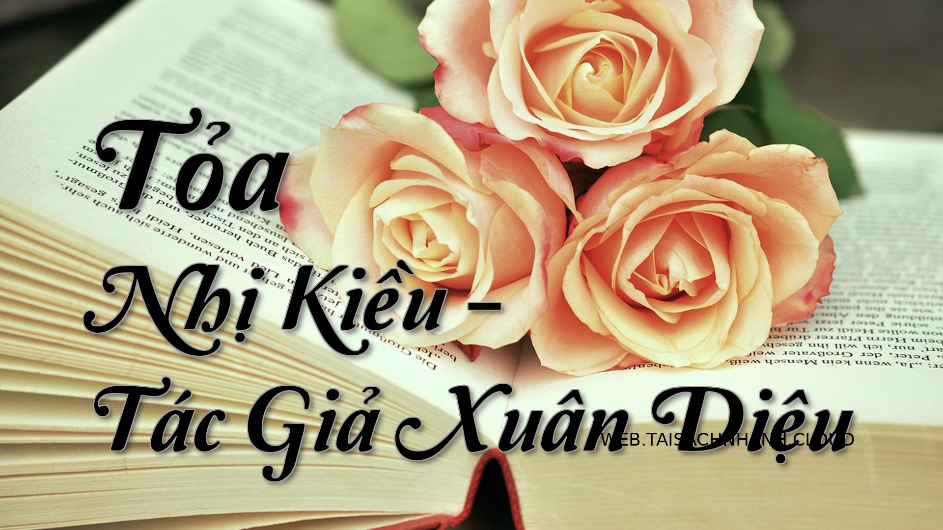 Cover Toa Nhi Kieu.jpg