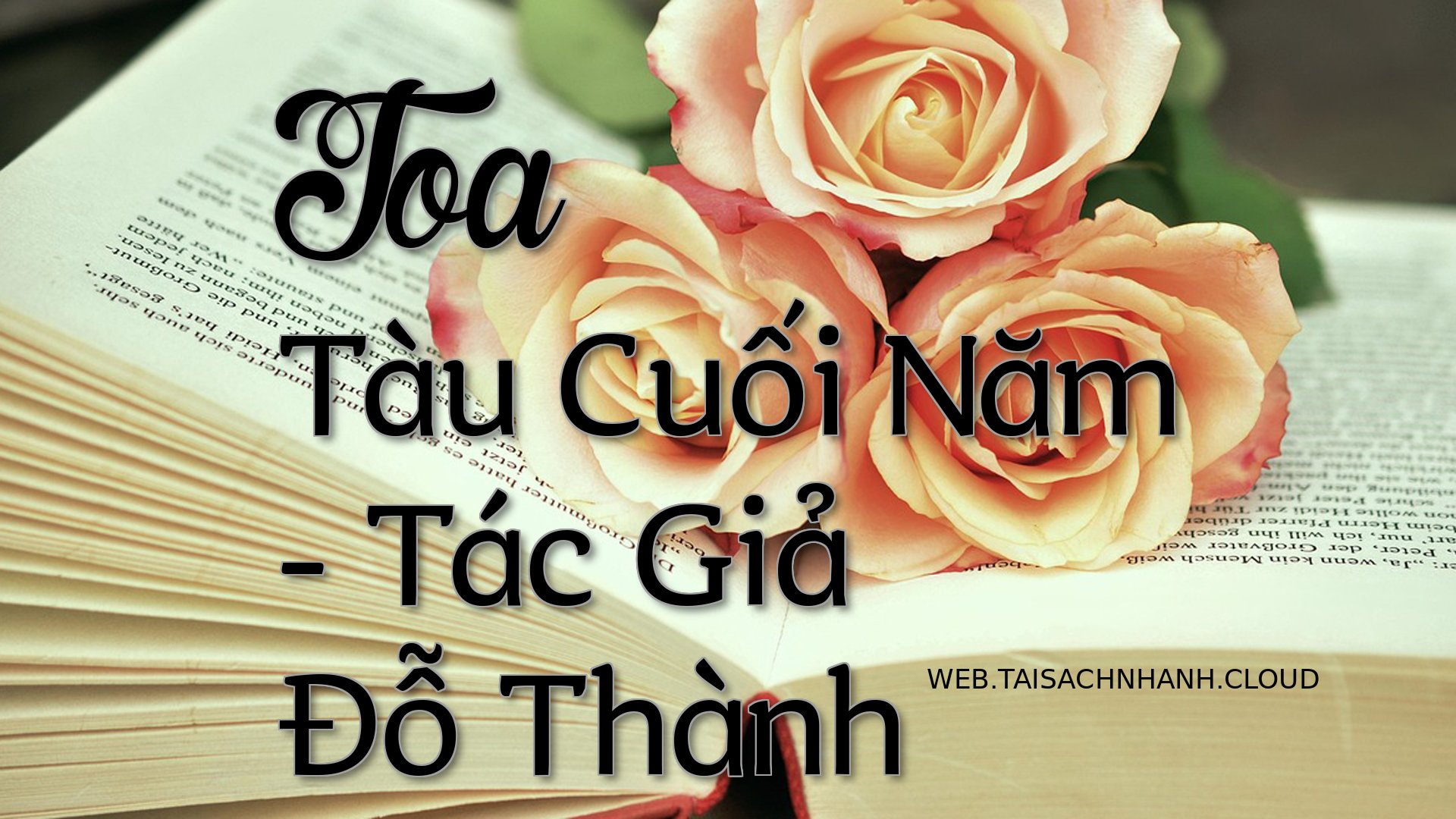 Cover Toa Tau Cuoi Nam.jpg