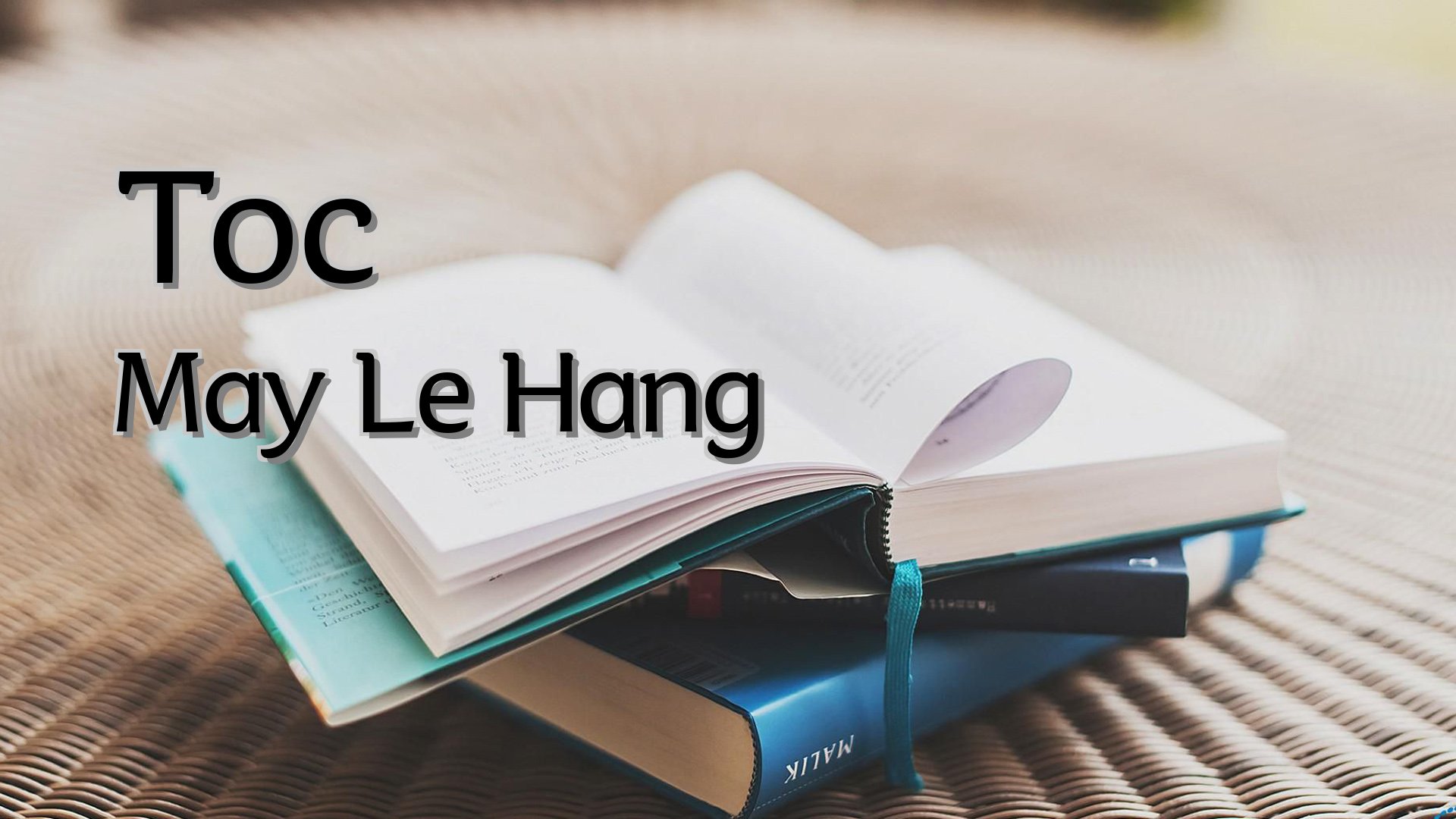 Cover image for Toc May Le Hang