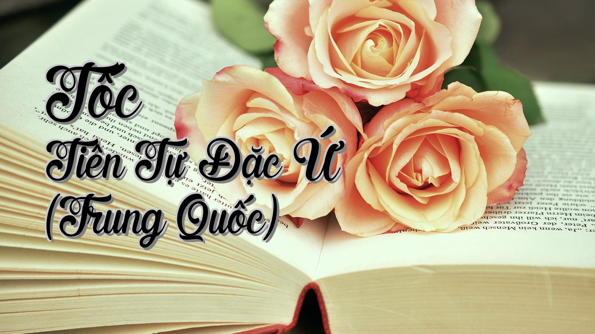 cover-Tốc Tiên Tự Đặc Ứ (Trung Quốc)