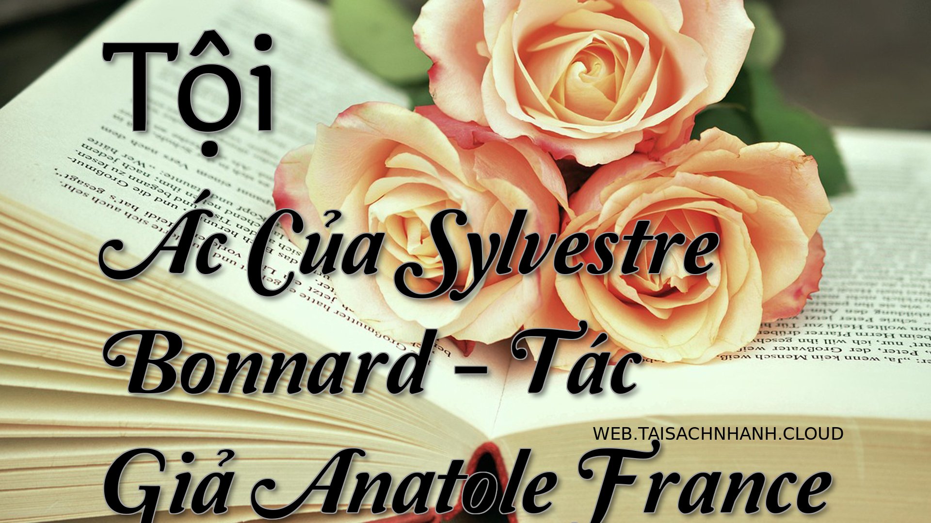 Cover Toi Ac Cua Sylvestre.jpg