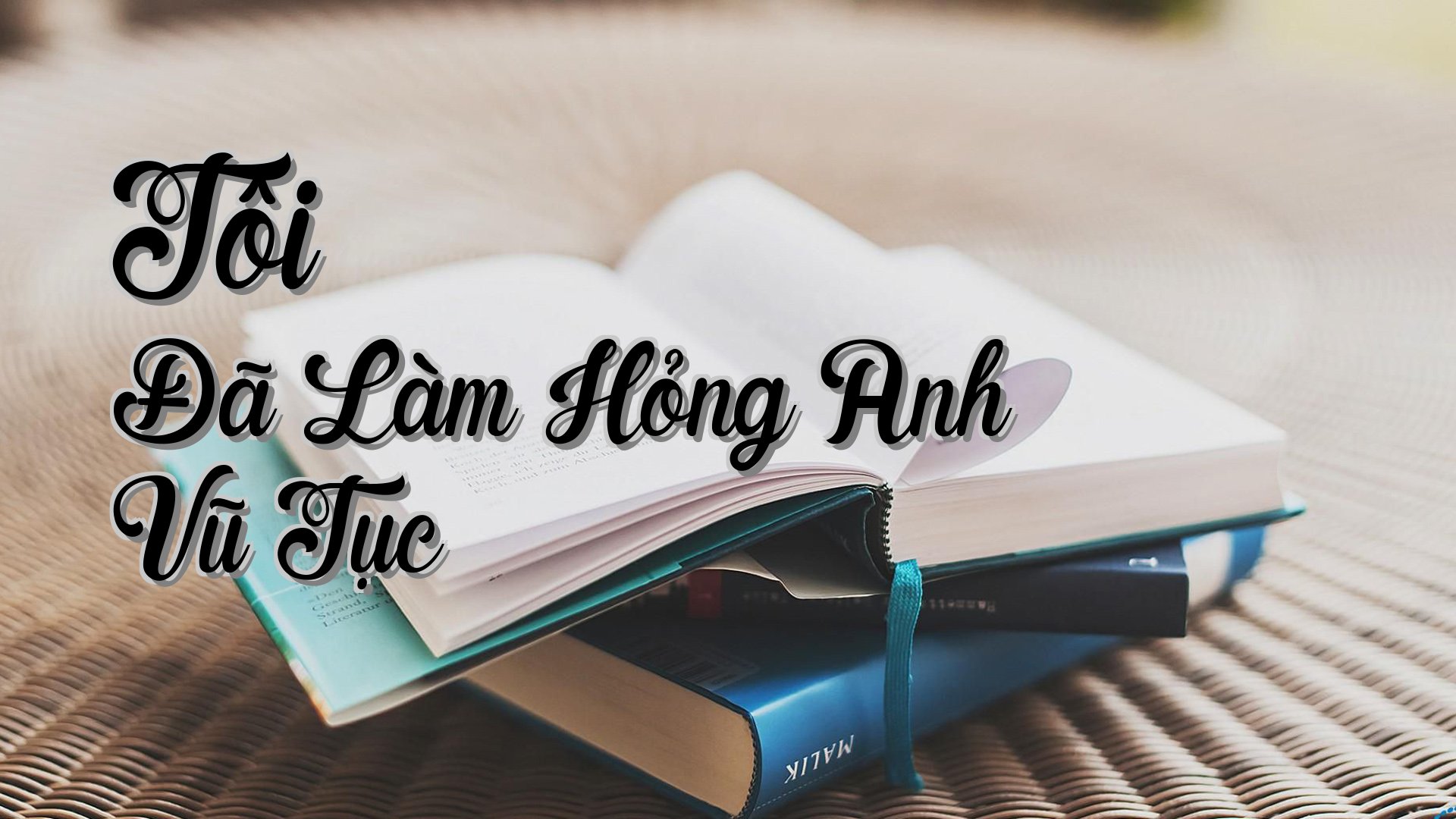 cover-Tôi Đã Làm Hỏng Anh Vũ Tục